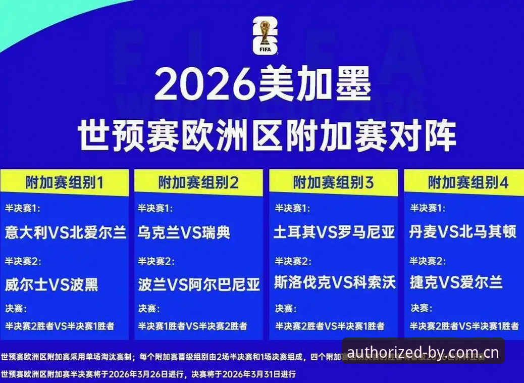 资深用户分享：2026世界杯观赛冷场背后，签证困局如何影响全球球迷体验