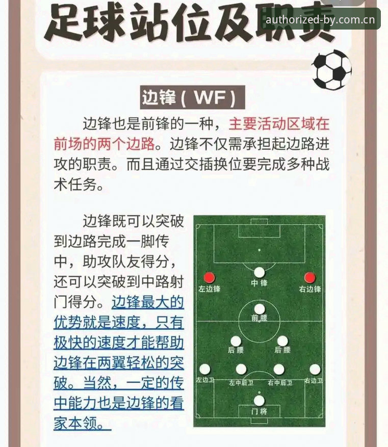 中场补强实用指南：曼联双星引援操作全解析